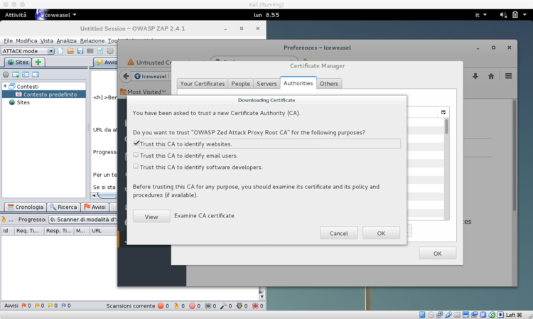 Useremo questa CA per identificare siti web